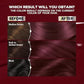 Garnier Hair Color Nutrisse Ultra Color Nourishing Creme, BR3 Intense Burgundy (Lotus Berry) Red Permanent Hair Dye, 1 Count (Packaging May Vary) (Pack of 2)
