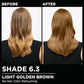 Garnier Hair Color Olia Ammonia-Free Brilliant Color Oil-Rich Permanent Hair Dye, 6.3 Light Golden Brown, 1 Count (Packaging May Vary) (Pack of 2)