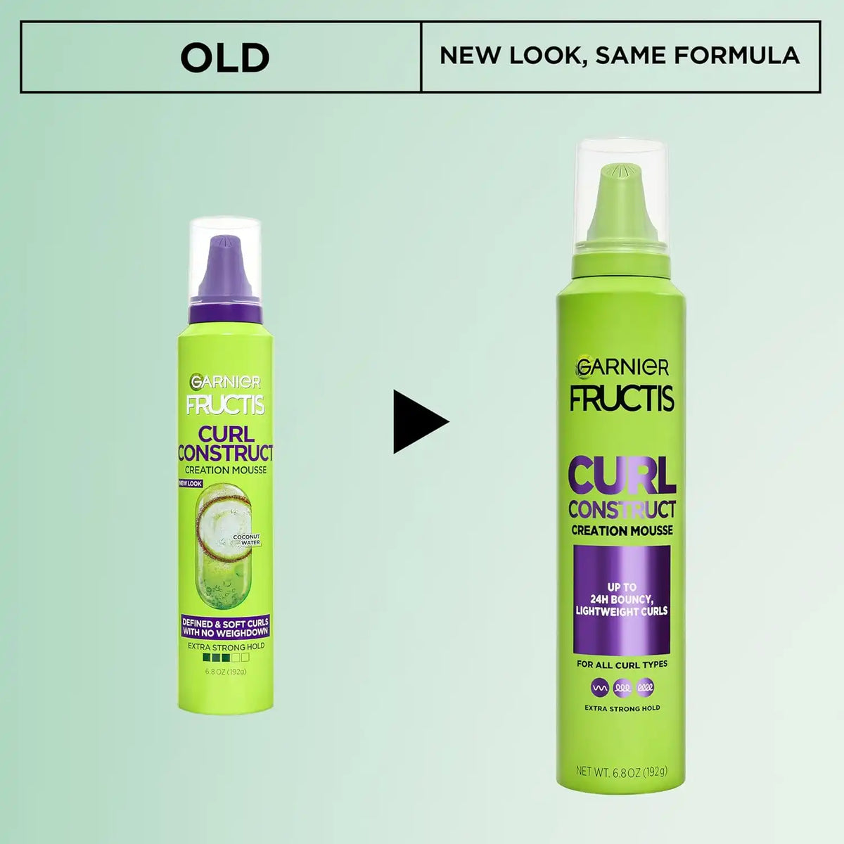 Garnier Fructis Style Curl Construct Mousse