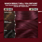 Garnier Nutrisse Ultra Color Hair Color, Permanent Hair Dye for Up to 8 Weeks of Bold, Vibrant, Fade-Resistant Results, Vegan & Cruelty-Free, BR2 Dark Intense Burgundy (Passion Fruit), 2 Count