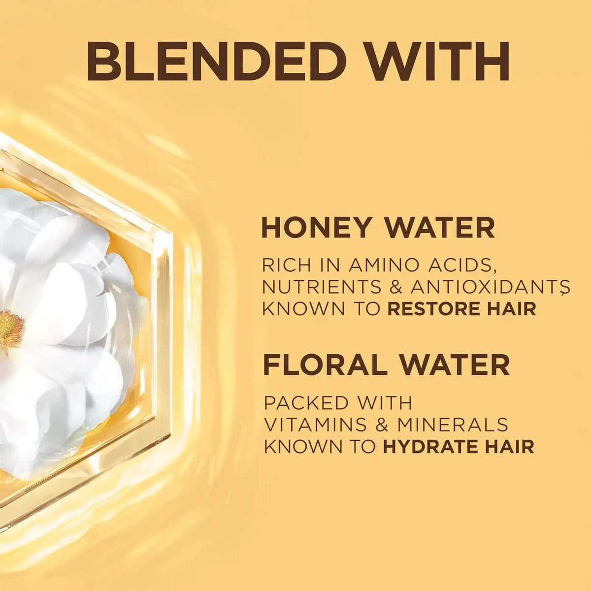Garnier Whole Blends Honey Water Moisture Restoring Conditioner, Hair Care for Dry Hair and Dry Scalp with Honey Nectar and Floral Water, 26.6 Fl Oz
