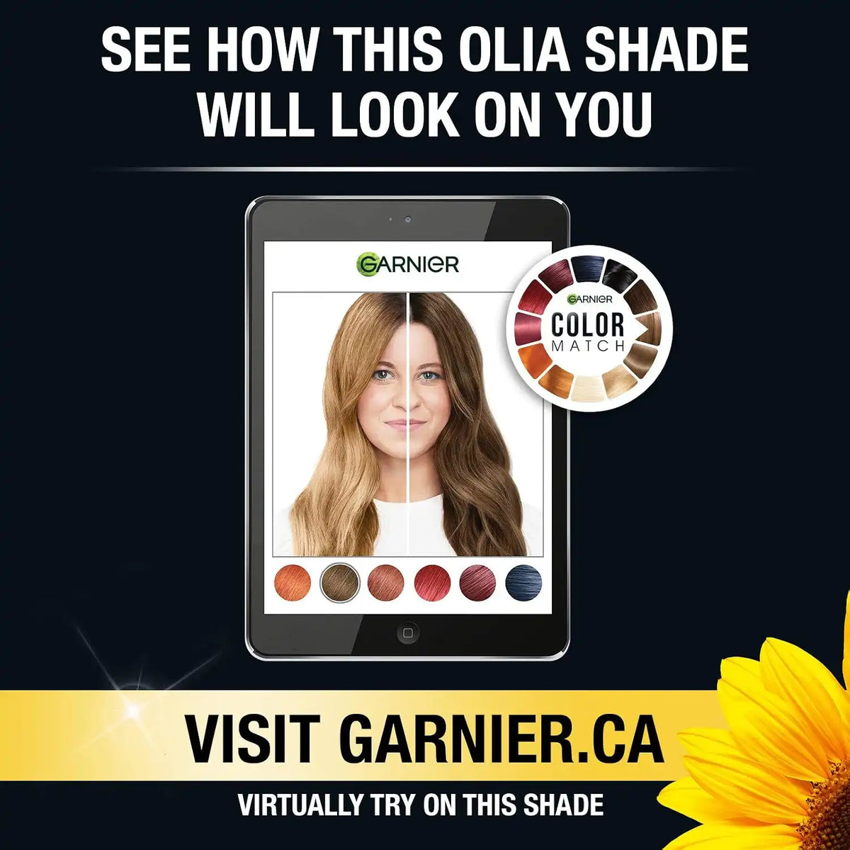 Garnier Olia Ammonia-Free Brilliant Color Oil-Rich Permanent Hair Color, 5.3 Medium Golden Brown (Pack of 1) Brown Hair Dye (Packaging May Vary)
