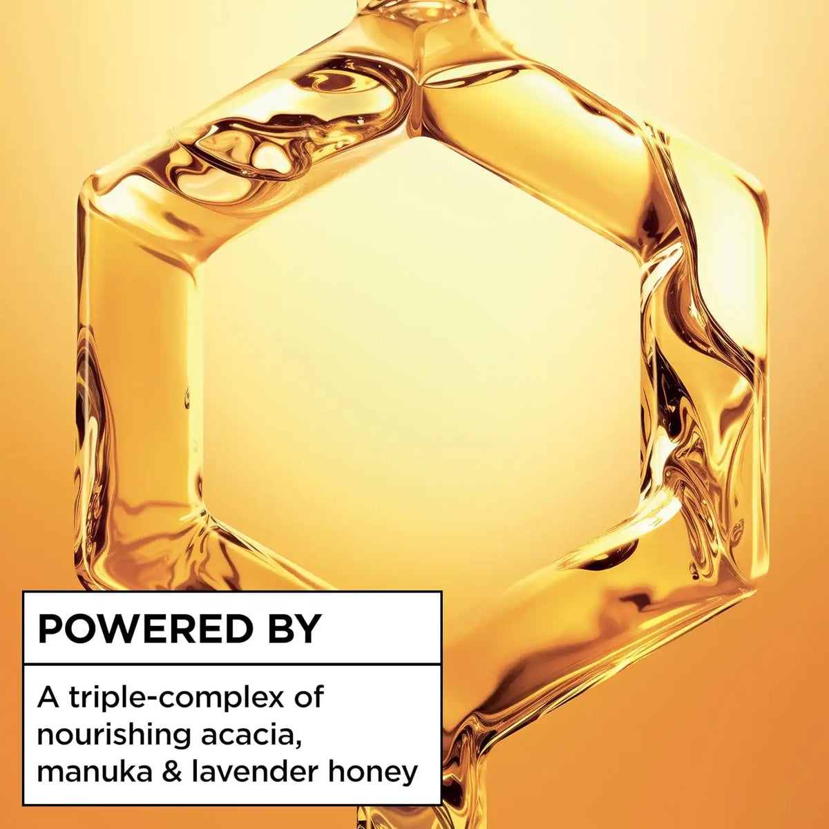 Garnier Whole Blends Sulfate Free Remedy Miracle Nectar 10-in-1 Repairing Leave-In Conditoner for All Hair Types, Honey Treasures, 5 Fl Oz, 2 Count (Packaging May Vary)