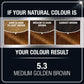 Garnier Olia Ammonia-Free Brilliant Color Oil-Rich Permanent Hair Color, 5.3 Medium Golden Brown (Pack of 1) Brown Hair Dye (Packaging May Vary)