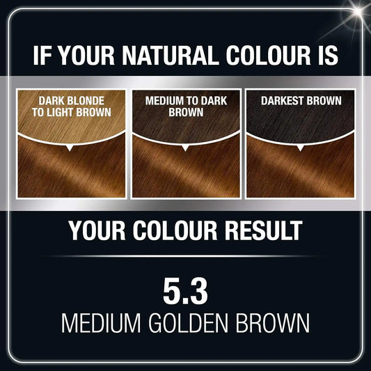 Garnier Olia Ammonia-Free Brilliant Color Oil-Rich Permanent Hair Color, 5.3 Medium Golden Brown (Pack of 1) Brown Hair Dye (Packaging May Vary)
