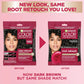 Garnier Color Sensation Root Retouch, Demi Permanent Hair Dye for Roots with 100% Gray Coverage and No Ammonia, Dark Brown Hair Dye 4.0, Pack of 6 (Packaging May Vary)