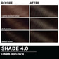 Garnier Olia Hair Color, Ammonia-Free Permanent Hair Dye, Oil-Powered Formula for 100% Gray Coverage and 3x Shinier Hair, Vegan & Cruelty Free, 4.0 Dark Brown, 2 Count